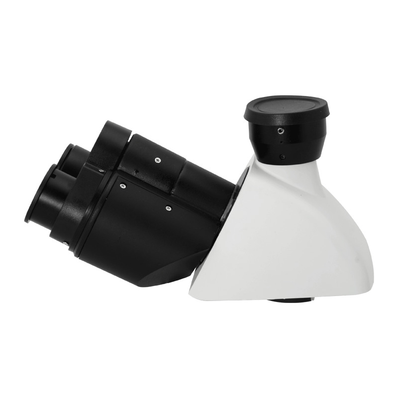 Microscope Eyepiece Tube